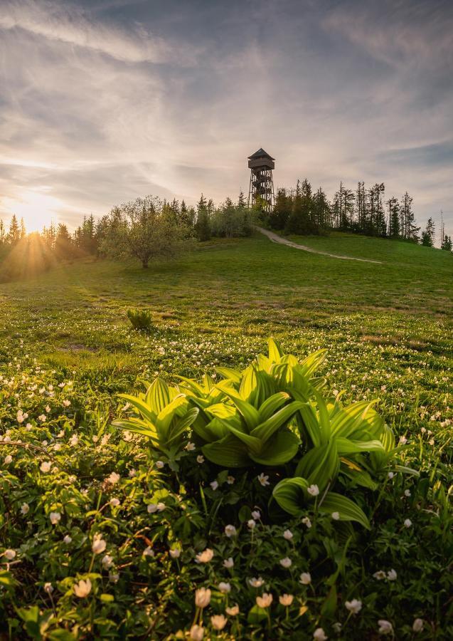 Domki U Adasia Krosnica  Buitenkant foto