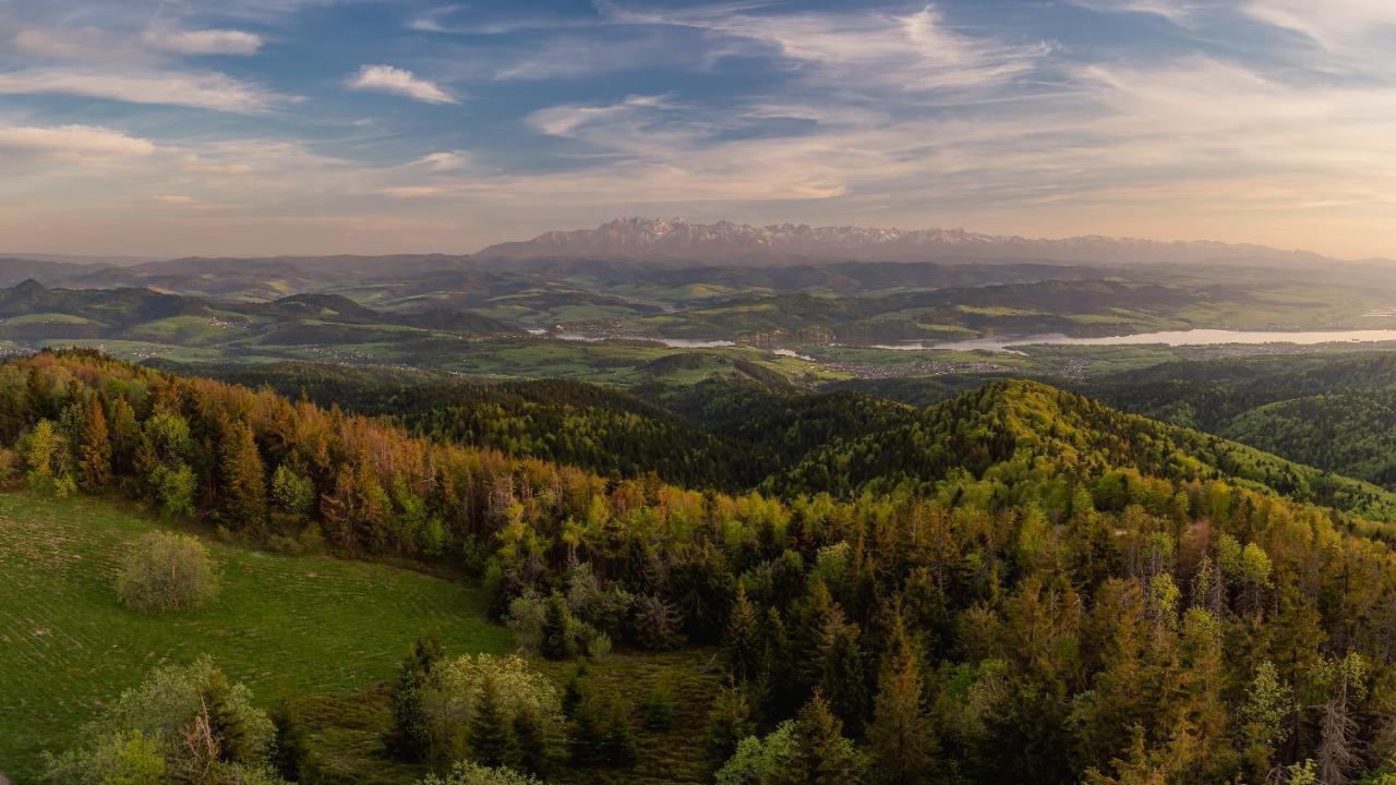 Domki U Adasia Krosnica  Buitenkant foto